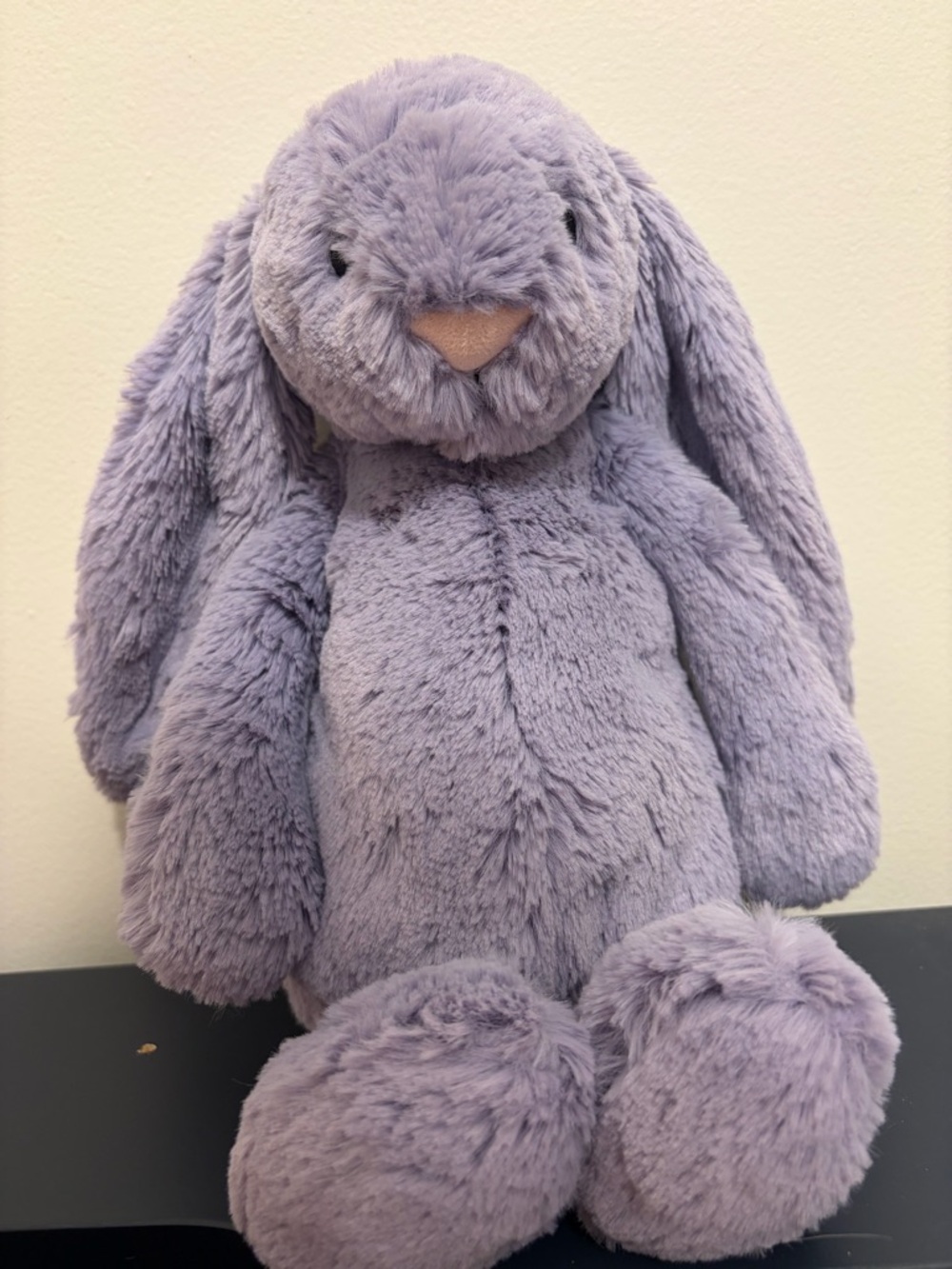 BNWOT Jellycat Medium Viola Bunny